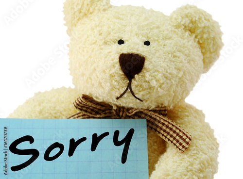 Teddy sorry