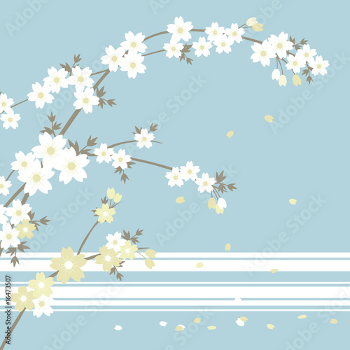 Sakura - White