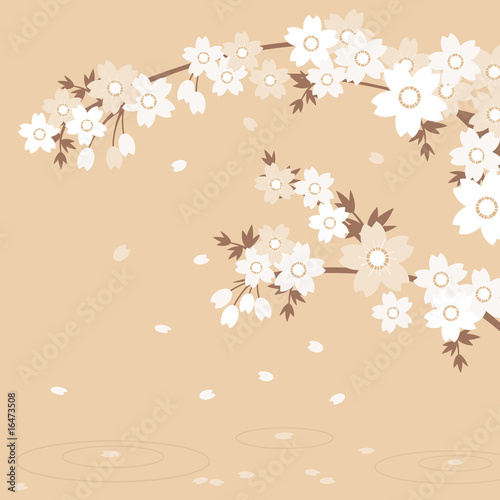 Sakura - Brown