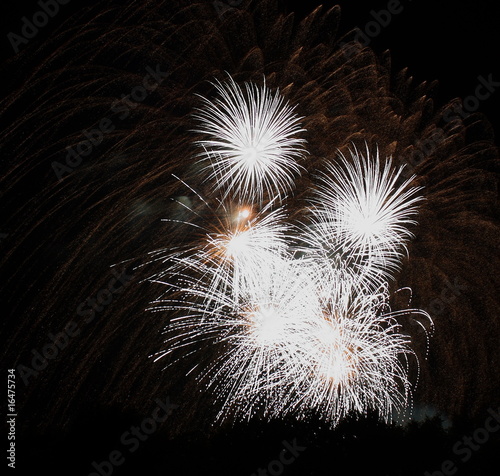 Lichtermeer im Goldregen