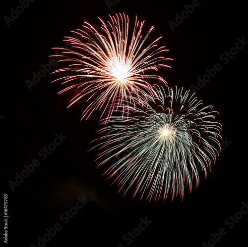 Feuerblume