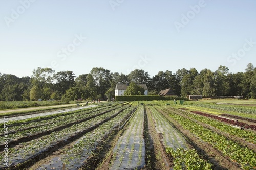 landwirtschaft