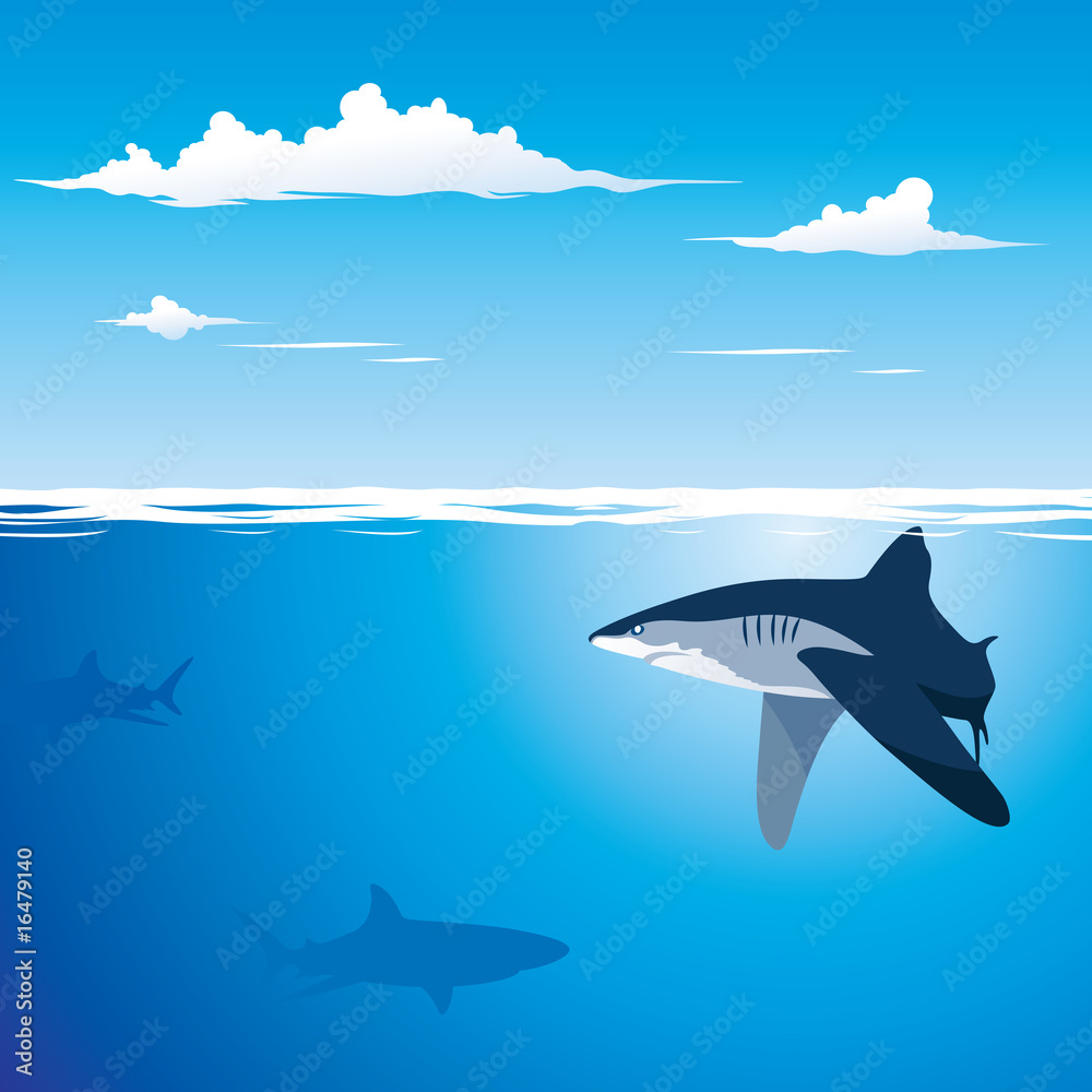 Fototapeta premium Shark Background