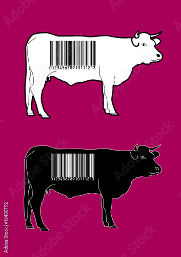 Vaches codes-barres, vecteurs