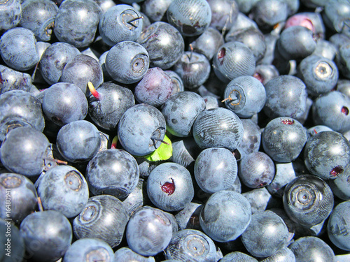 Blueberry background Fototapet