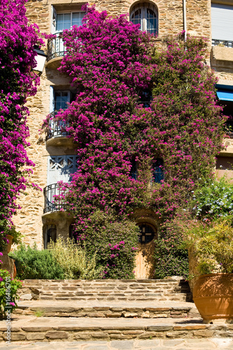 Fassade in Bormes les Mimosas