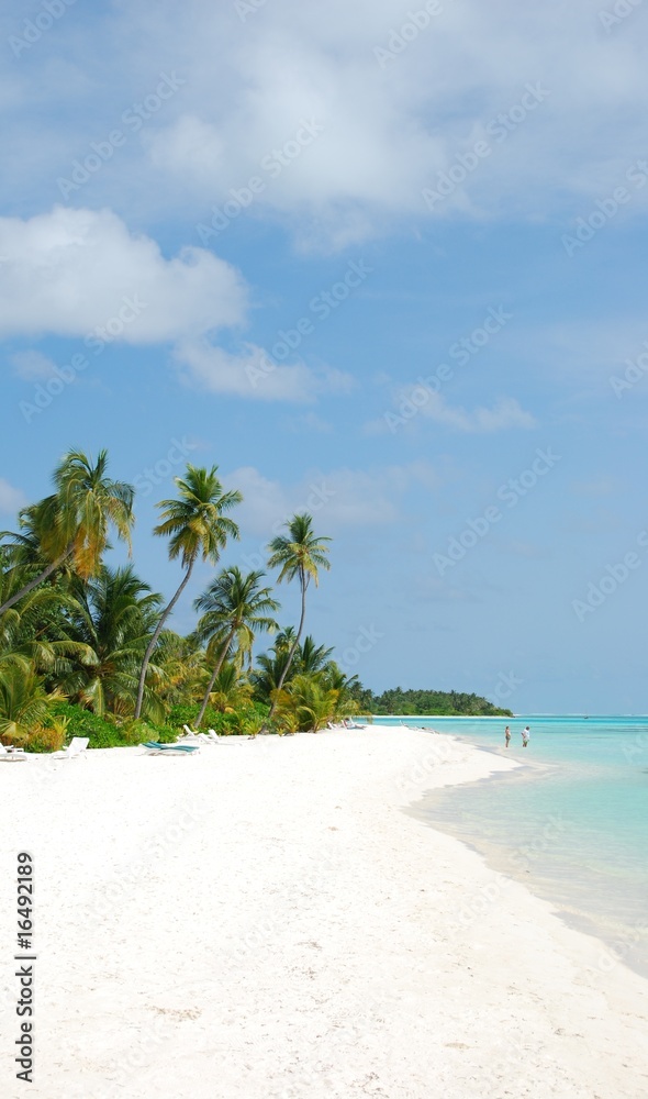 Fototapeta Beach paradise with palm trees