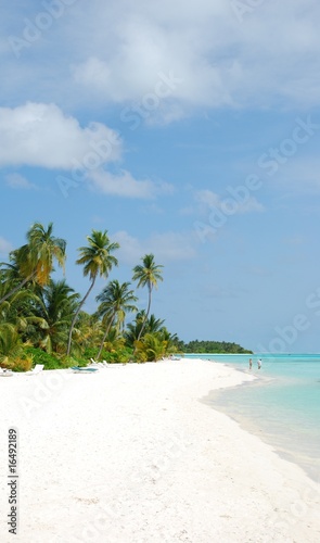 Beach paradise with palm trees