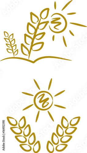 Icon/Symbol: Getreidefeld in der Sommersonne