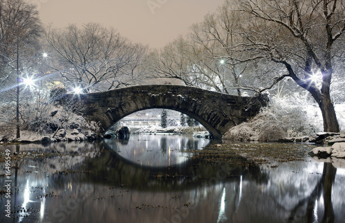 Central Park at night NYC photo