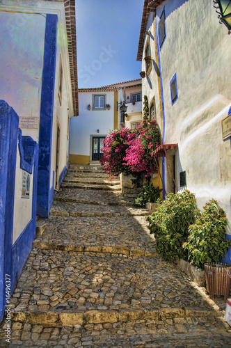 Rua típica da Vila de Óbidos