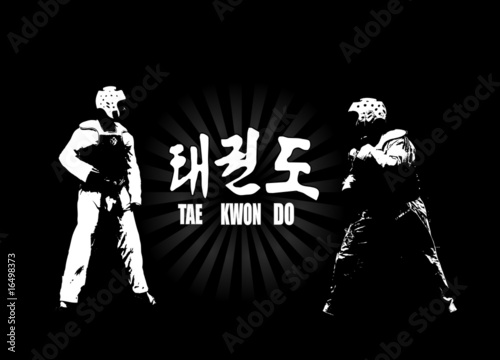 taekwondo
