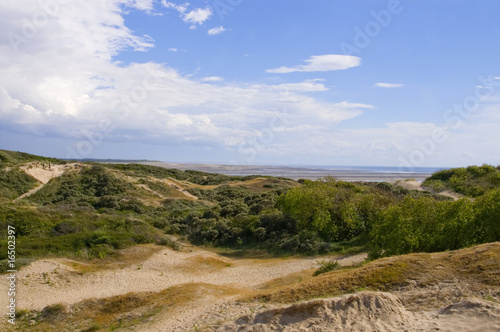 Le sentier des Garennes, au milieu des dunes - Berck-sur-mer (Cô