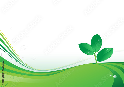 Back verde