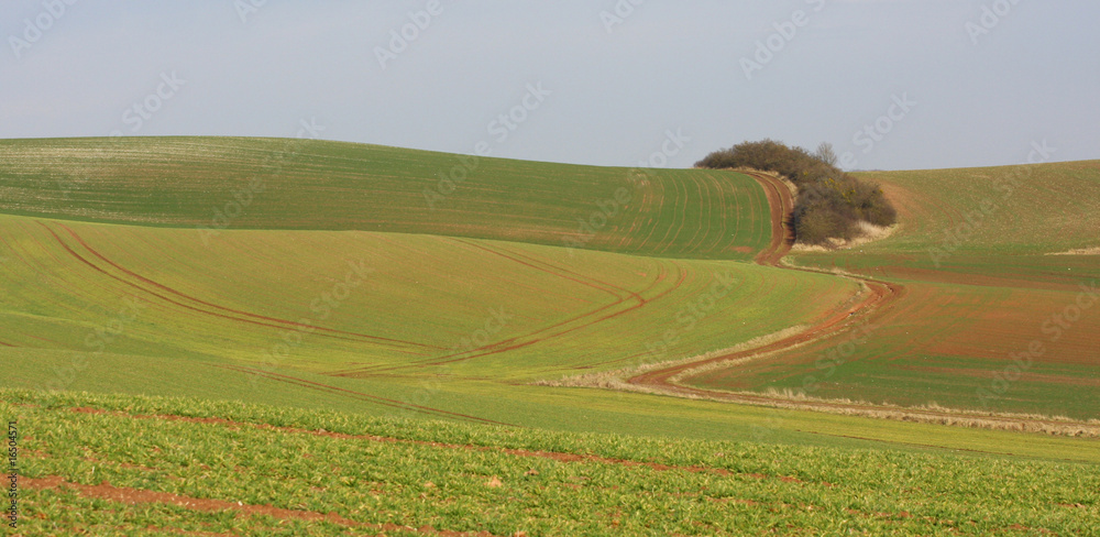 Obraz premium Paysage agricole