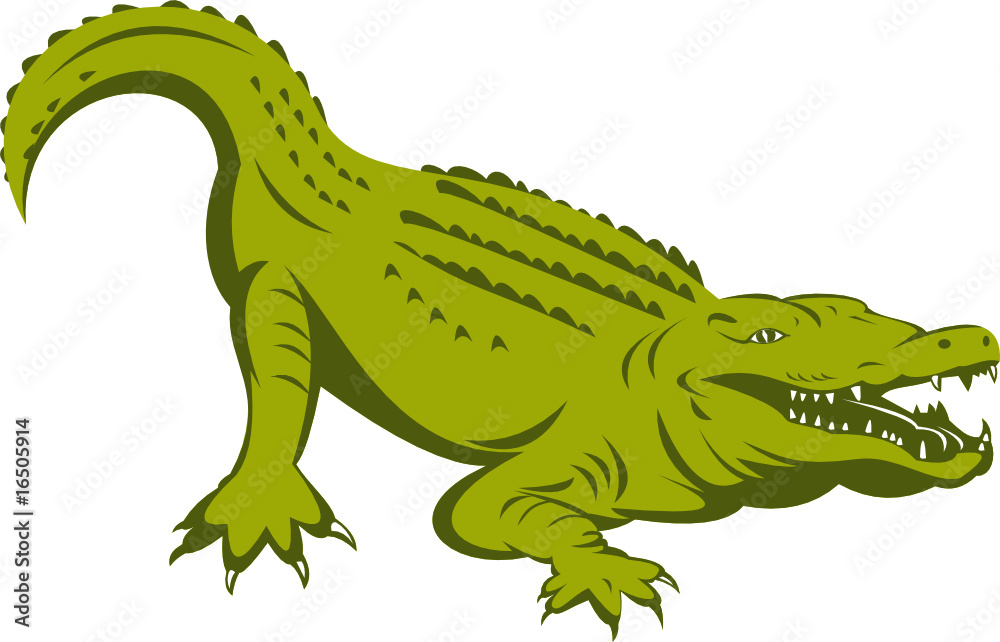 Obraz premium Alligator about to attack