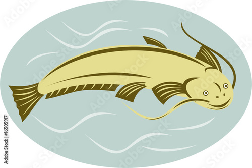 Catfish