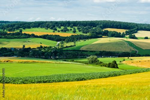 Agricultural landscape in summer © Colette