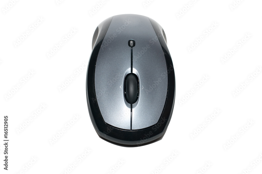 computer mouse computer mouse