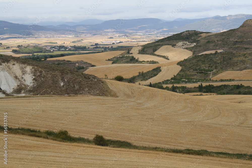Naklejka premium Paisaje de campos de cereal recogidos.