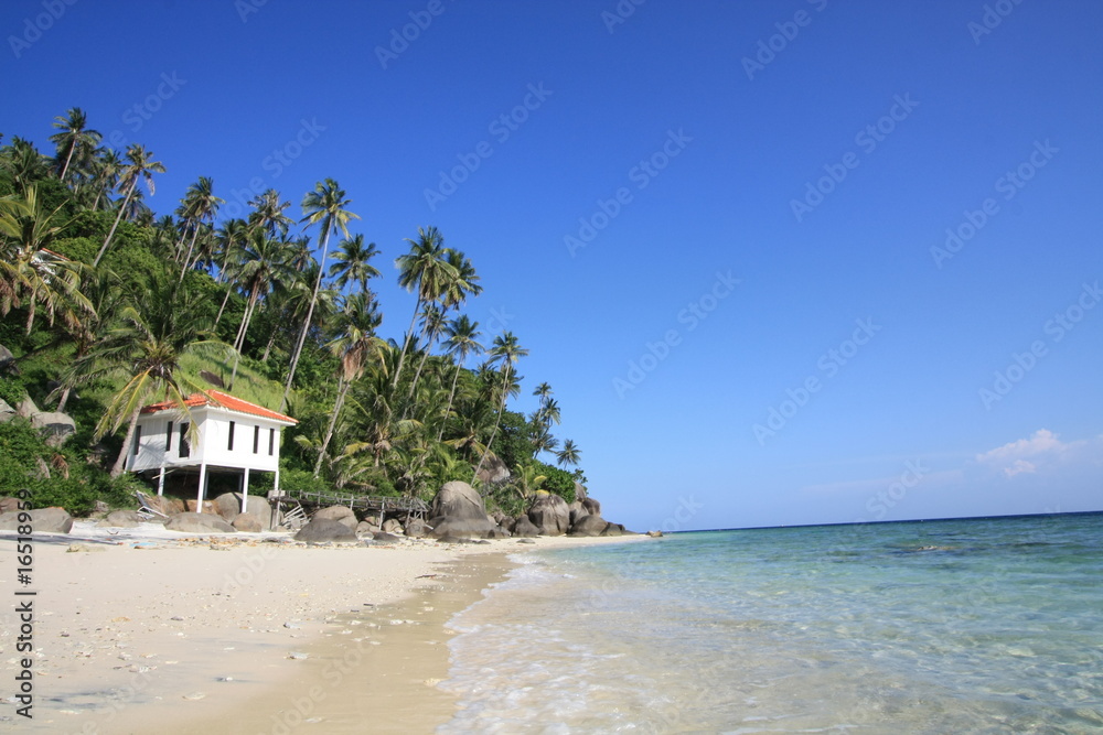 Beautiful tropical beach in diving paradise