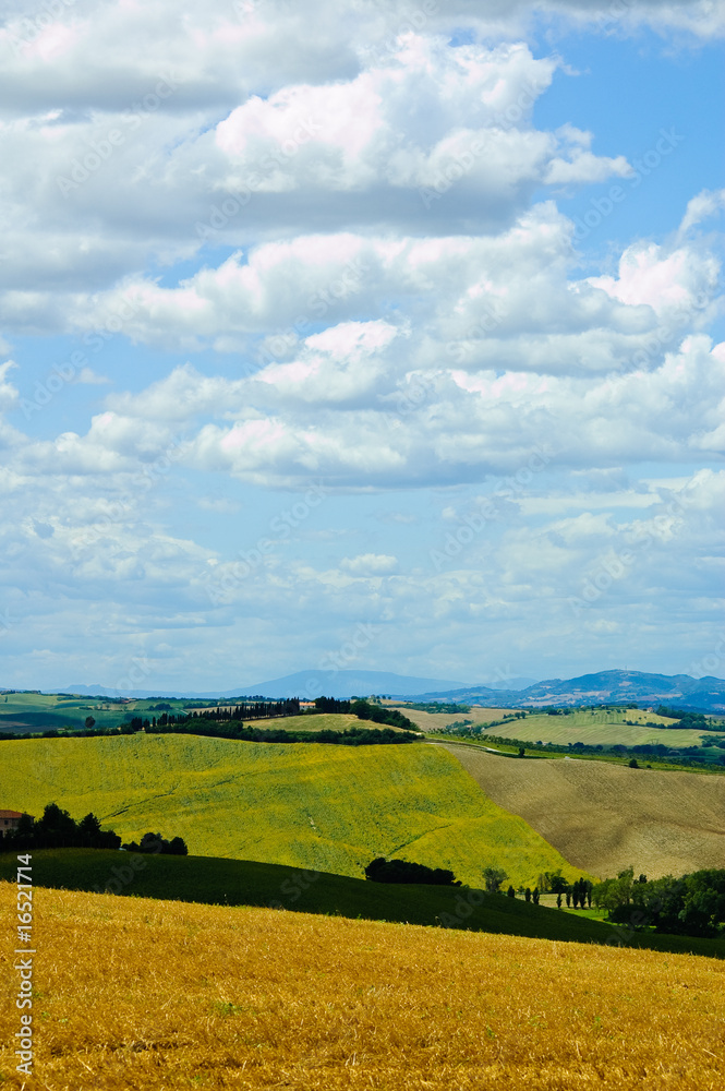 Summer fields with clouds in Italy