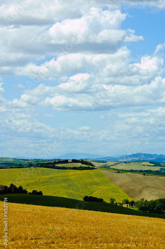 Summer fields with clouds in Italy