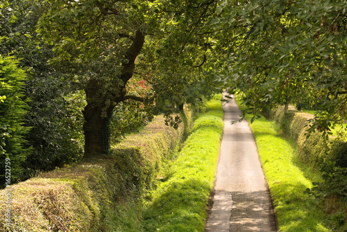 Country Lane