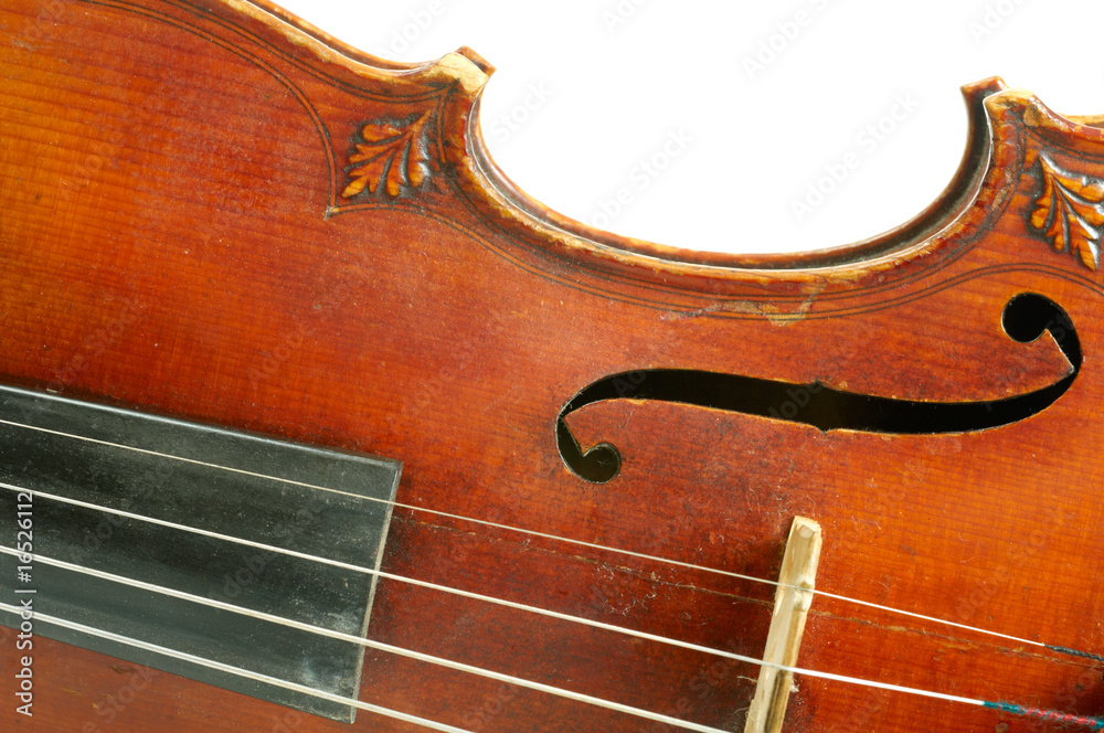 Part of violin on white background. Part of violin on white background.