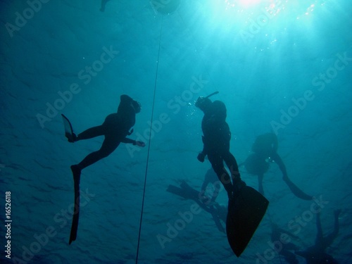 Freediving