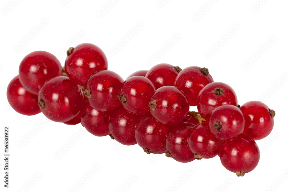 red currants, isolated on white background red currants, isolated on white background
