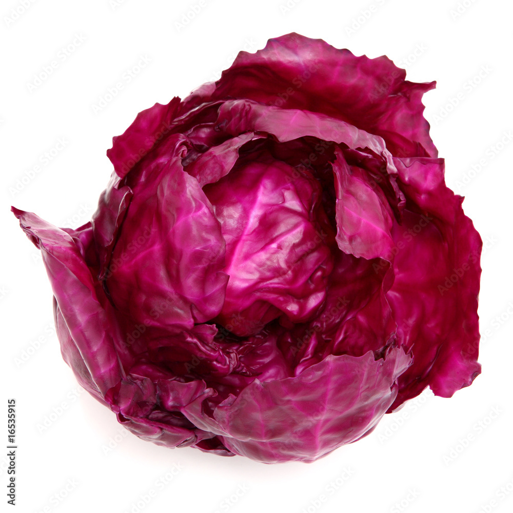 RED CABBAGE RED CABBAGE
