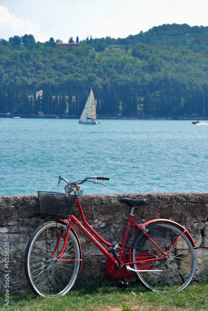 Fototapeta premium bicicletta