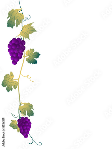 Autumn frame with grapevine leaves