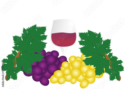 Uva e vino