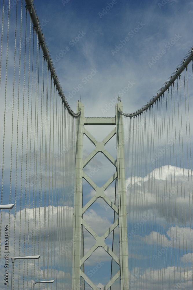 Fototapeta premium 橋