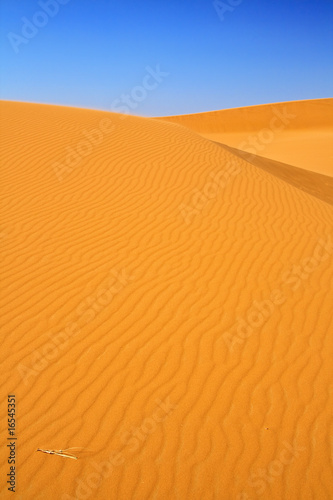 sand dunes and cloudless blue sky