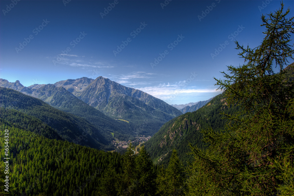 Fototapeta premium Montagne panorama e foresta