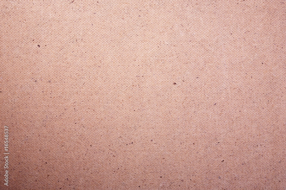 Fototapeta premium veneer texture
