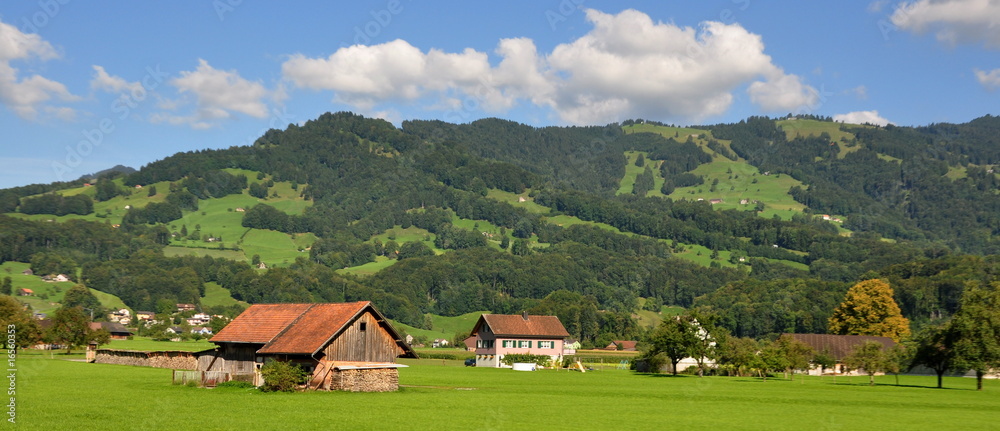 suisse pastorale vue d'un train