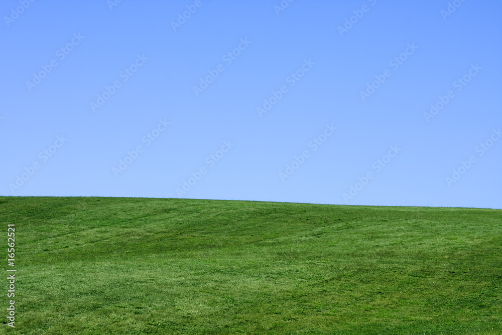 Fototapeta premium campo y cielo