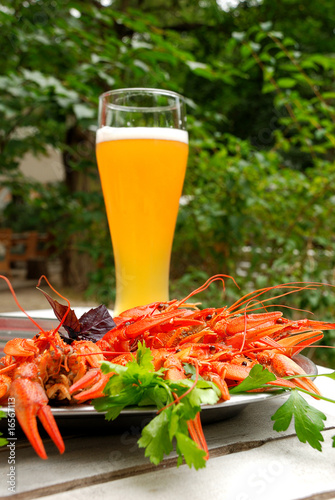 Lobsters and glass of beer on a background of the nature