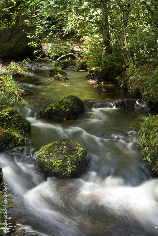 Mountain stream