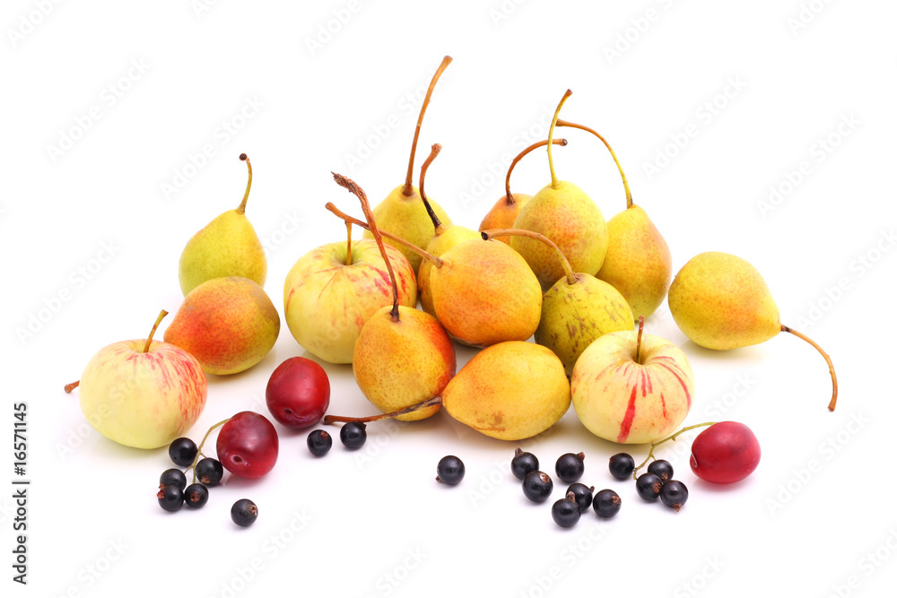 Cultivated fruits on white Cultivated fruits on white