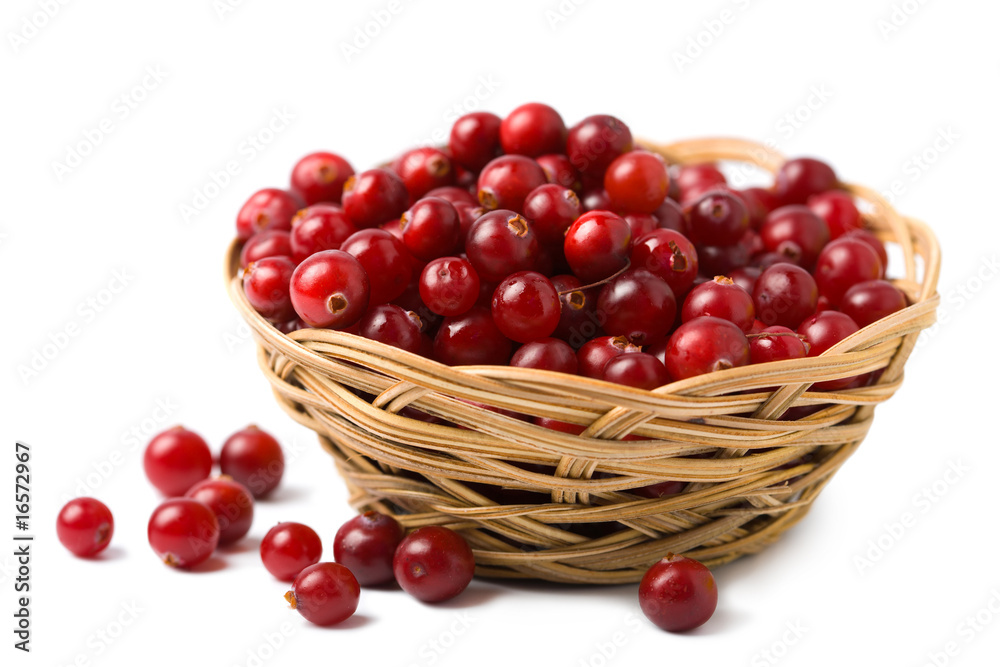 ripe cranberries isolated ripe cranberries isolated