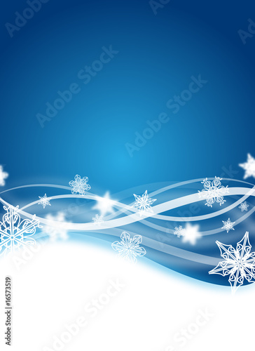winter flyer