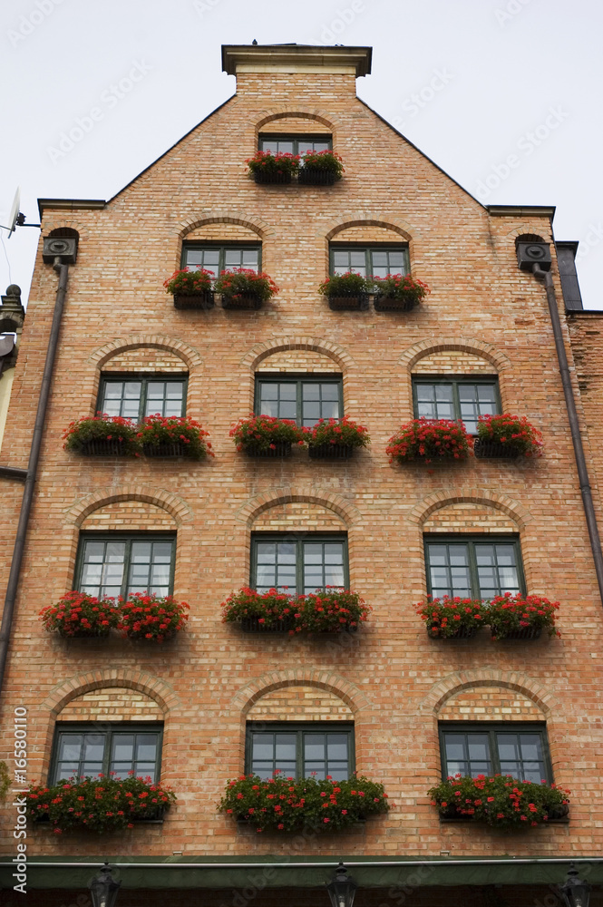Naklejka premium building