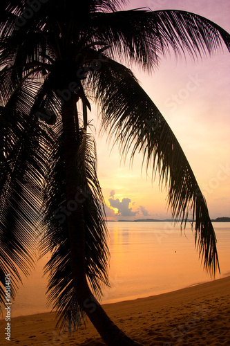 Sonnenaufgang auf einer S  dseeinsel