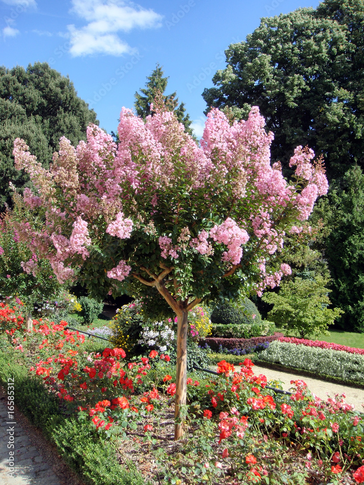 Fototapeta premium ścieżki ogrodowe