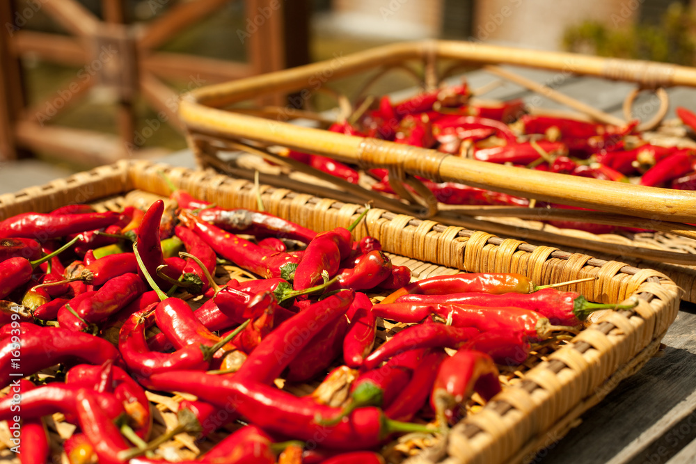 Fototapeta premium chili